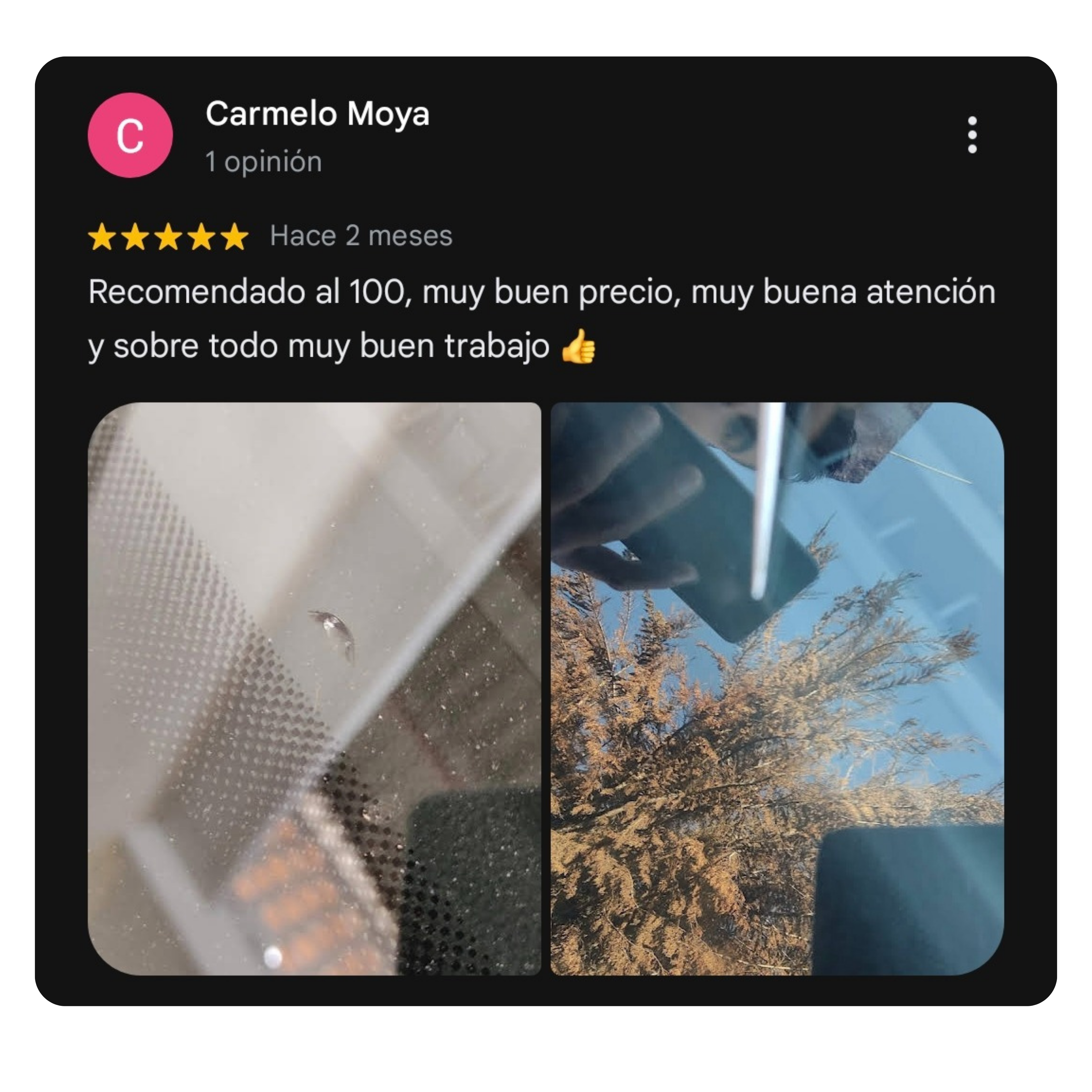 Reseña 5